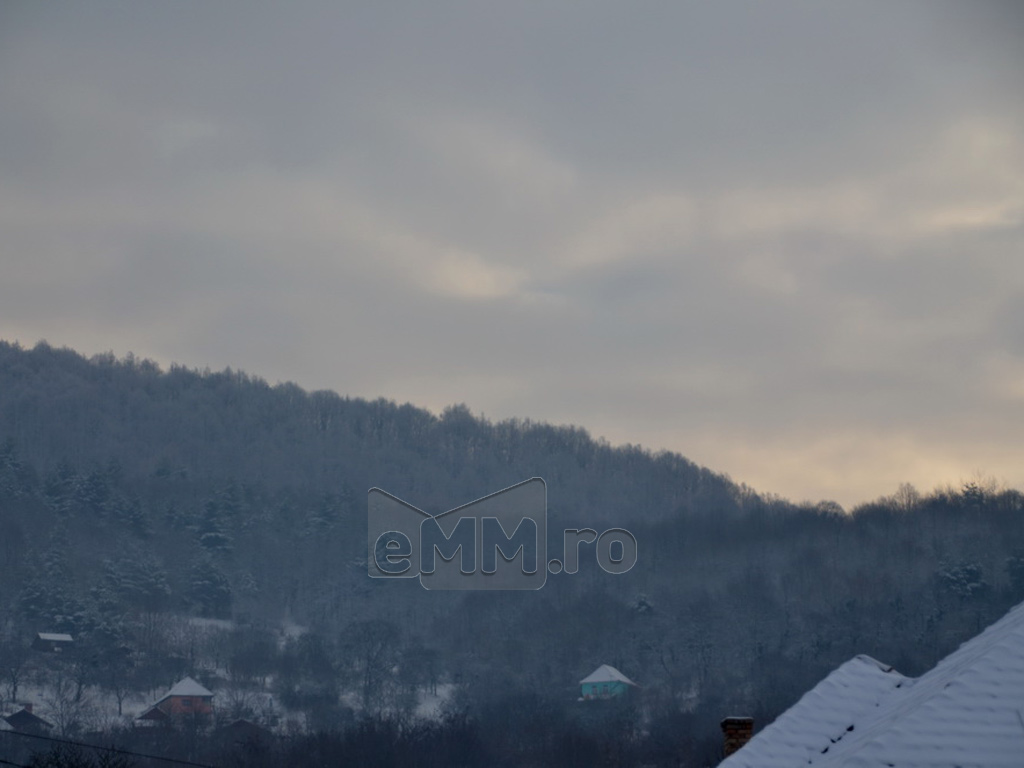 Foto: Dealul Comja - Seini, padurea Eminescu (c) eMaramures.ro - Lucian Petru Goja